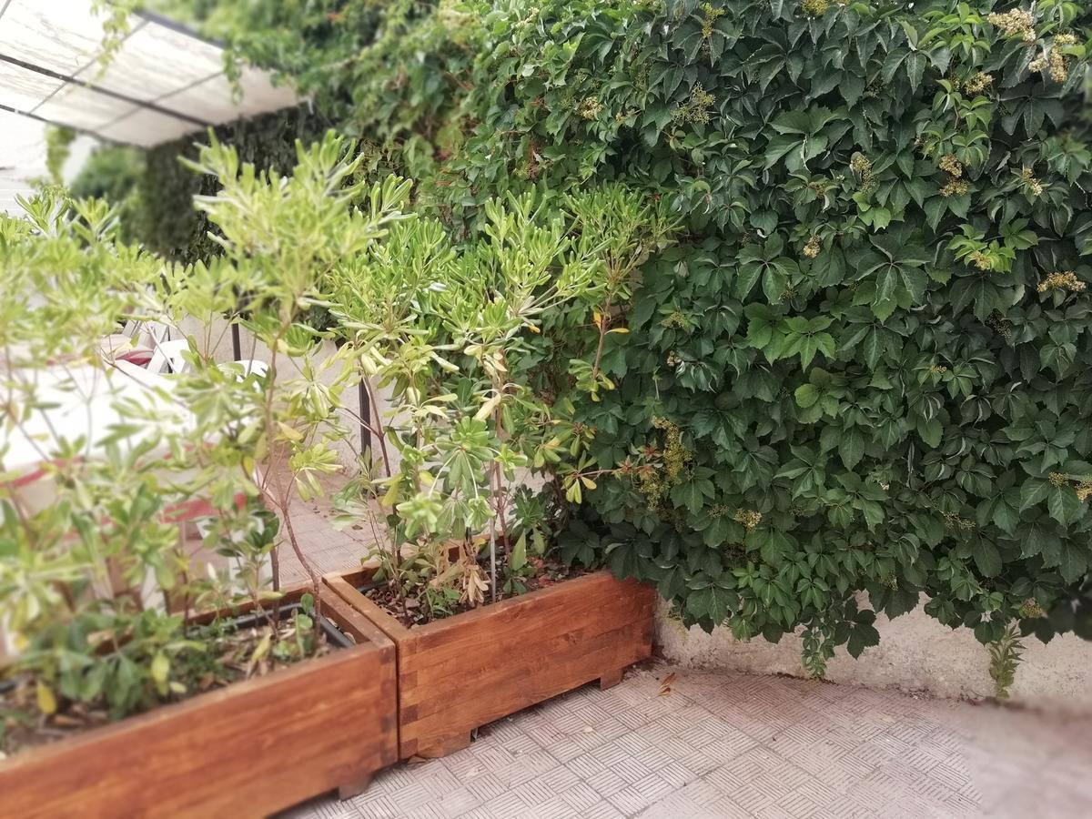 Hotel Noto Marina Stella Marina - B&B Lido di Noto エクステリア 写真